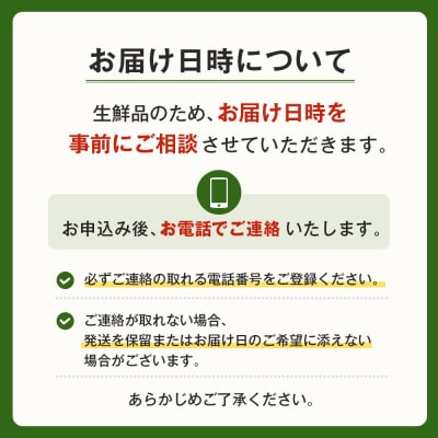【定期便】ご家庭向けお野菜セット～旬のおまかせBOX～毎月12回分(1年間)　aa17804