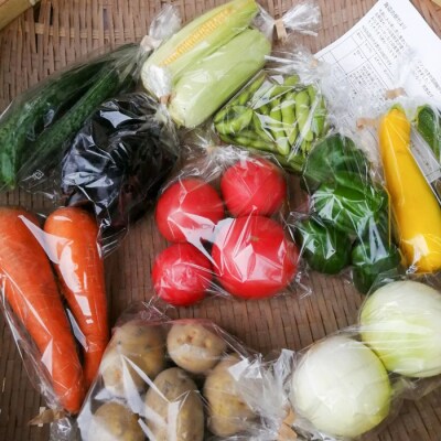 【定期便】ご家庭向けお野菜セット～旬のおまかせBOX～毎月12回分(1年間)　aa17804