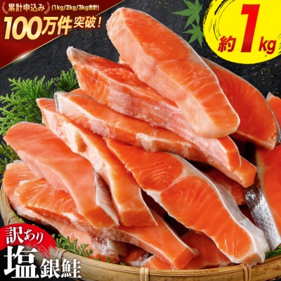 訳あり 鮭 切身 約1kg [宮城東洋 宮城県 気仙沼市 20564663] サーモン