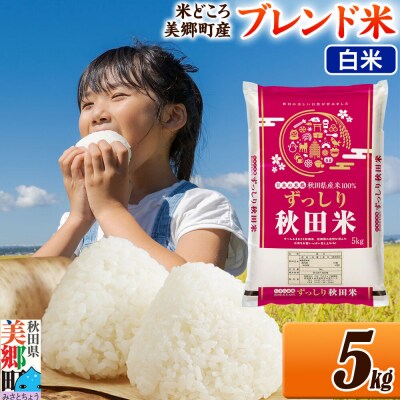ブレンド米【白米】精米 5kg(5kg×1袋)|01_ssn-010501h