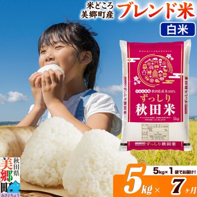 《定期便7ヶ月》ブレンド米【白米】精米 5kg(5kg×1袋)|01_ssn-010507h