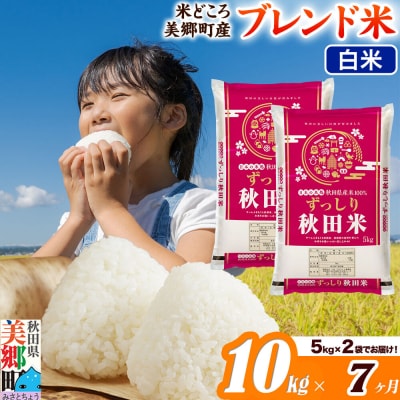 《定期便7ヶ月》ブレンド米【白米】精米 10kg(5kg×2袋)|01_ssn-011007h