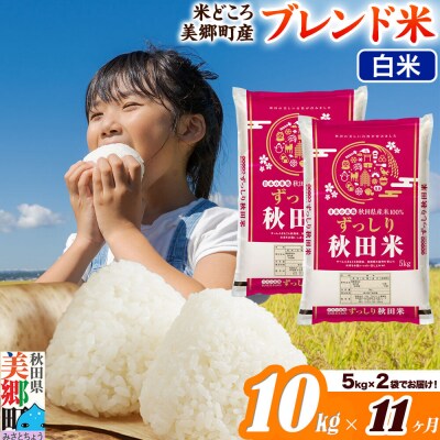 《定期便11ヶ月》ブレンド米【白米】精米 10kg(5kg×2袋)|01_ssn-011011h