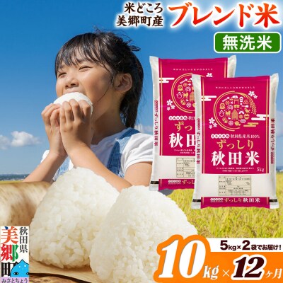 《定期便12ヶ月》ブレンド米【無洗米】精米 10kg(5kg×2袋)|01_ssn-011012m
