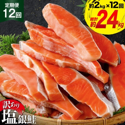 定期便《12ヶ月連続お届け》訳あり 鮭 切身 約2kg×12 計24kg[20564464]サーモン