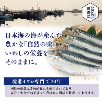 境港産 無塩 いわしフィレ(1kg×2P)