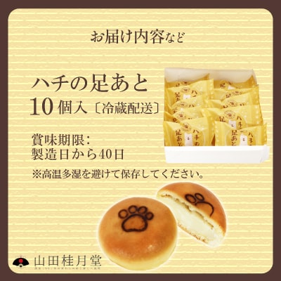 ハチの足あと10個入