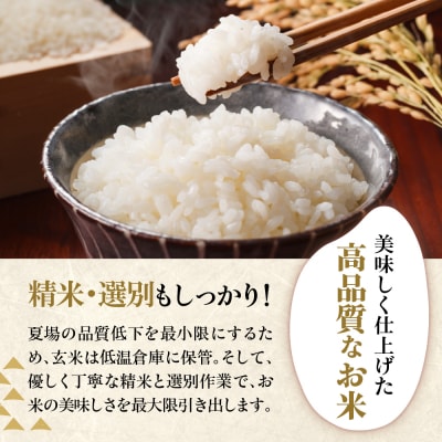 【先行予約】令和8年産 はえぬき 5kg ( 5kg × 1袋 ) 