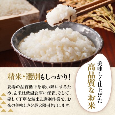 【先行予約】 令和8年産 コシヒカリ 計 10kg ( 5kg × 2袋 ) 