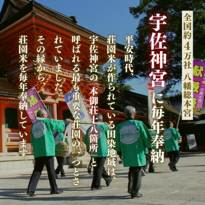 荘園米 【精米済】5kg 米 お米 精米 ひのひかり ヒノヒカリ