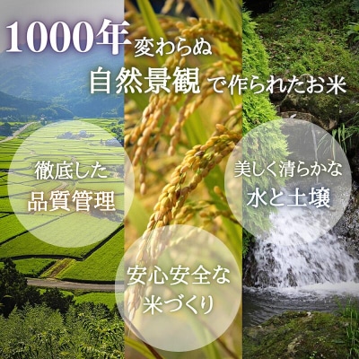 荘園米 【玄米】11kg(1袋/精米後約10kg)  精米 ひのひかり ヒノヒカリ