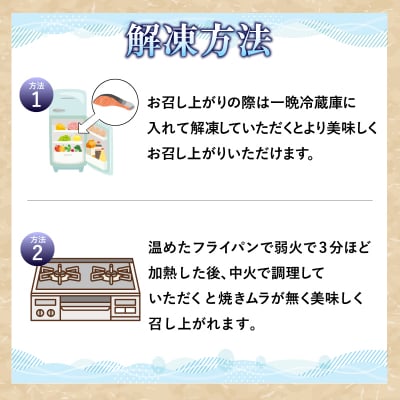  訳あり 銀鮭 切り身 1.5kg 冷凍鮭 切り身 冷凍 切身 サイズ 不揃い