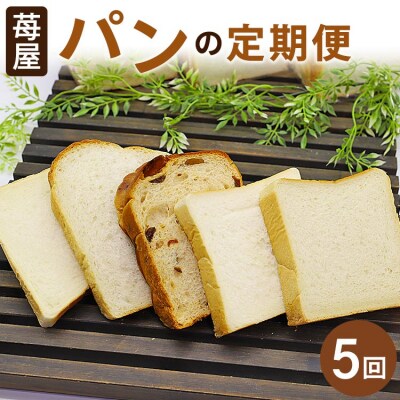 【5回定期便】食パンの定期便 Wit-0071