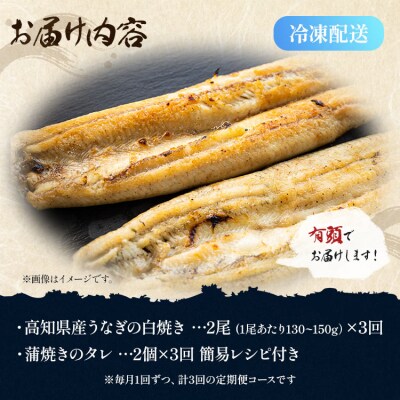 【3カ月定期便】高知県産鰻の白焼き130～150g×2尾 合計6尾 エコ包装 Wyw-0071
