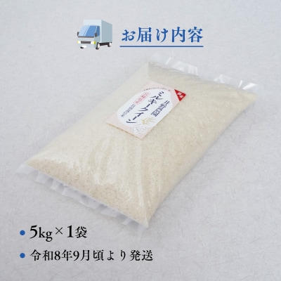 令和8年産 新米【特別栽培米】ミルキークイーン 宮崎県産 5kg 減農薬 精米 お米 白米 井野農園