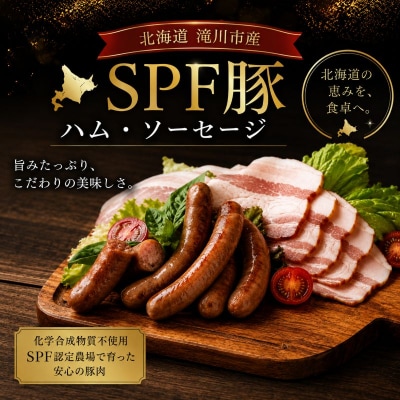 北海道滝川産 SPF豚 ロースハム&ソーセージセット 詰め合わせ 豚肉 国産 ウインナー おつまみ