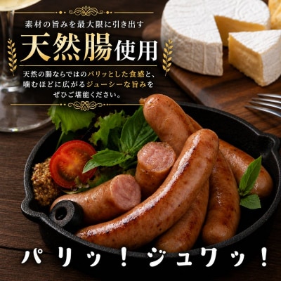 北海道滝川産 SPF豚 ロースハム&ソーセージセット 詰め合わせ 豚肉 国産 ウインナー おつまみ