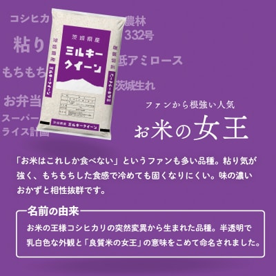 令和8年産 茨城県産 お米 ミルキークイーン 精米 10kg (5kg x 2袋)