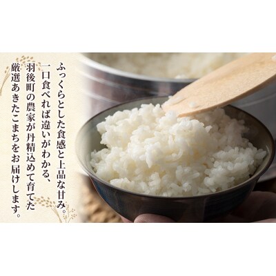 【令和7年産】秋田県産あきたこまち 20kg(5kg×4袋)[No.5325-0381]
