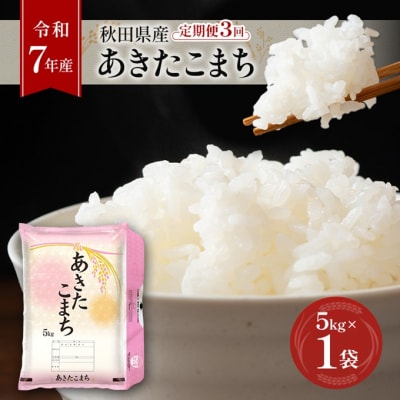 【令和7年産】定期便 秋田県産あきたこまち 5kg×1袋 全3回[No.5325-0382]