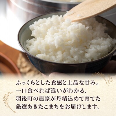 【先行予約】定期便 令和8年産 秋田県産あきたこまち 10kg 全3回[No.5325-0699]