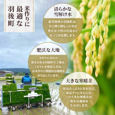 【先行予約】定期便 令和8年産 秋田県産あきたこまち 10kg 全6回[No.5325-0700]
