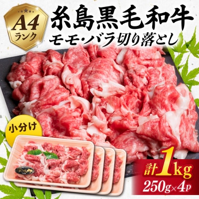 【250gの小分けパック】黒毛和牛 切り落とし 250g×4P 計1kg A4ランク[ACA031]