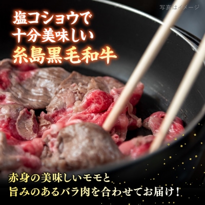 【250gの小分けパック】黒毛和牛 切り落とし 250g×4P 計1kg A4ランク[ACA031]