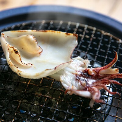 糸島玄界灘産 やりいか 1枚  糸島市 / 有限会社 糸島海産 / イカ / 肴 [AMR010]