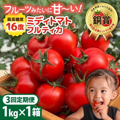 【先行受付】【全3回定期便】 フルティカ 1kg【2026年11月以降順次発送】 [AAM010]