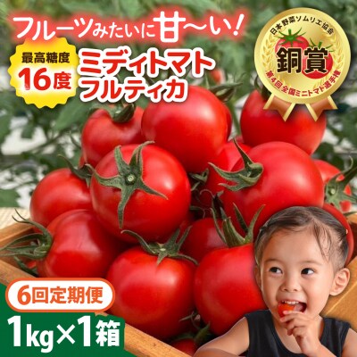 【先行受付】【全6回定期便】 フルティカ 1kg【2026年11月以降順次発送】 [AAM011]