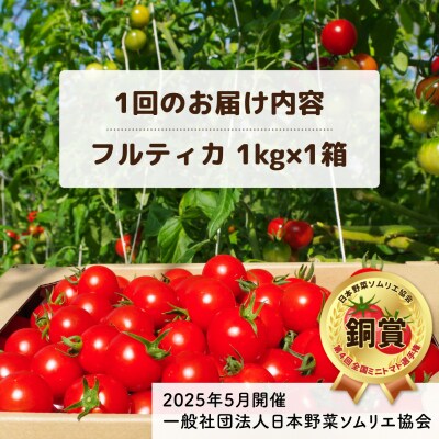 【先行受付】【全6回定期便】 フルティカ 1kg【2026年11月以降順次発送】 [AAM011]