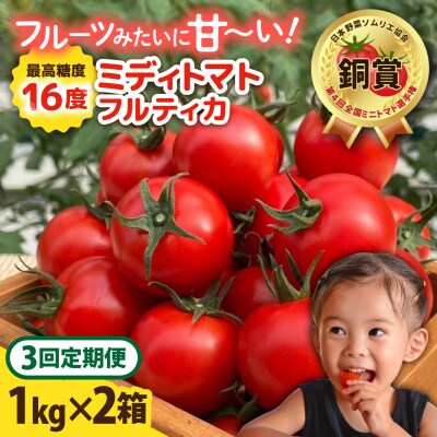 【先行受付】【全3回定期便】 フルティカ 2kg (1kg×2箱) [AAM012]