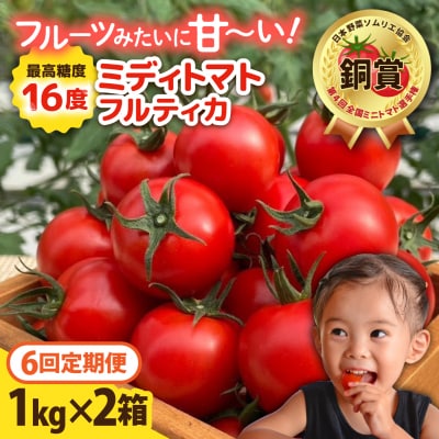 【先行受付】【全6回定期便】 フルティカ 2kg (1kg×2箱)  [AAM013]