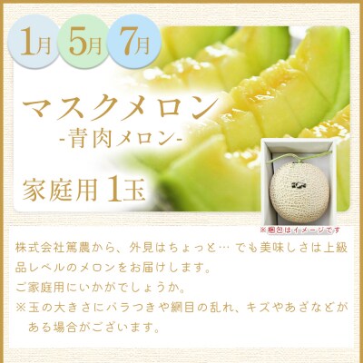 【8回定期便】メロン堪能定期便 Wtn-0043
