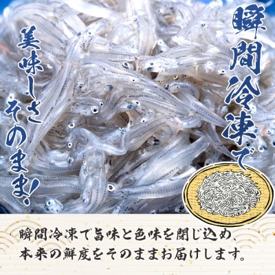 鮮度抜群「生しらす」 100g×8袋 瞬間冷凍 nz-0093