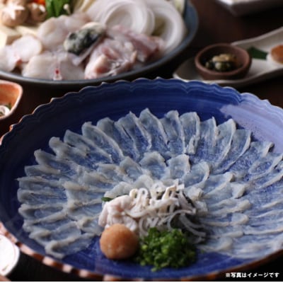 【冷蔵】淡路島3年とらふぐ(活てっさ4人前)◆配送期間10月25日～3月31日