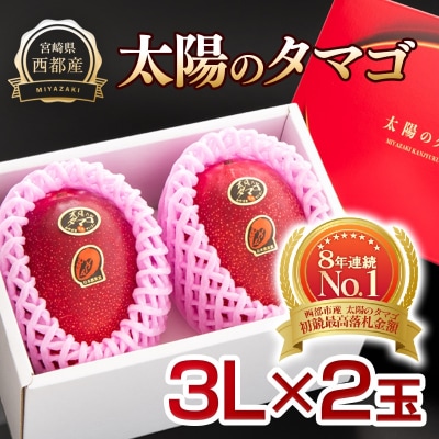 【太陽のタマゴ3L×2玉】西都市産完熟マンゴー『先行受付』[2361]