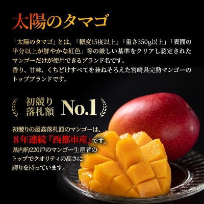 【太陽のタマゴ3L×2玉】西都市産完熟マンゴー『先行受付』[2361]