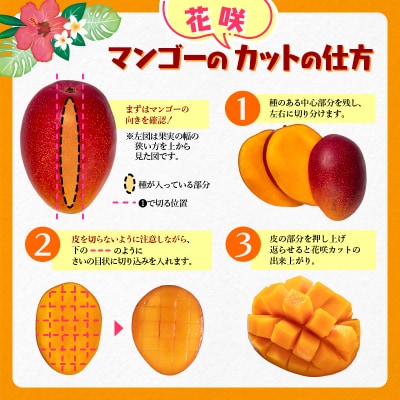 3玉(約1.2kg)宮崎県産よくばり完熟マンゴー【先行受付】[3307]