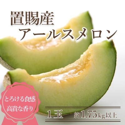 【期間限定・R8発送】置賜産マスクメロン(アールスメロン)約1.75kg以上×1玉_H245(R8)