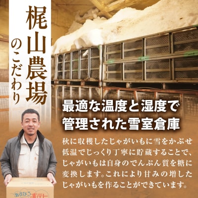 先行受付!【2027年3月～4月頃発送予定】北海道産 越冬じゃがいも はるか 約5kg