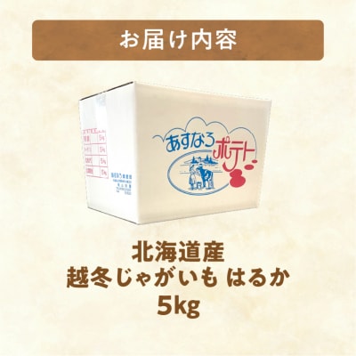 先行受付!【2027年3月～4月頃発送予定】北海道産 越冬じゃがいも はるか 約5kg