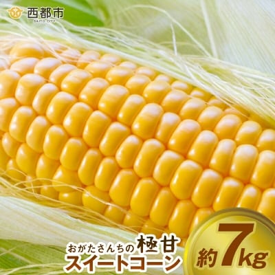 【先行受付】西都市産　 緒方さんちのスイートコーン『イエロー』[3309]