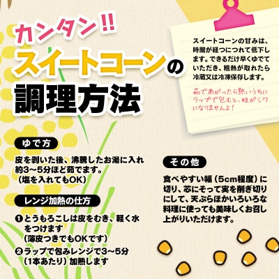 【先行受付】西都市産　 緒方さんちのスイートコーン『イエロー』[3309]