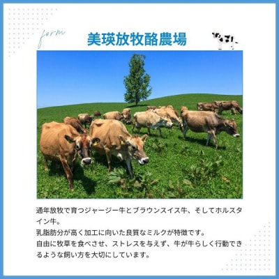 ラクレットチーズ 100g×3個 チーズ 北海道 ラクレット・ド・美瑛 美瑛放牧酪農場