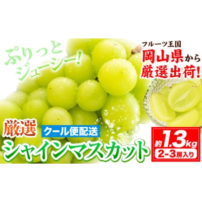 【さとふる限定】シャインマスカット 約1.3kg《9月上旬-11月中旬頃出荷》笠岡市