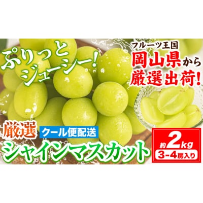 【さとふる限定】シャインマスカット 約2kg《9月上旬-11月中旬頃出荷》岡山県 笠岡市 ぶどう