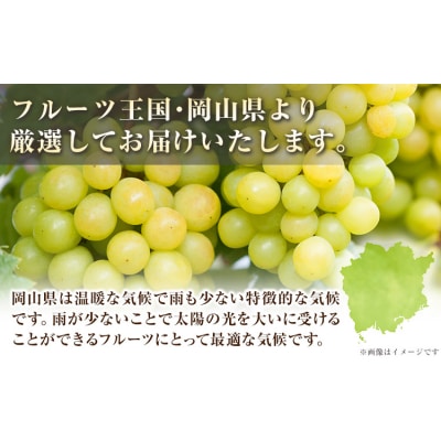【さとふる限定】シャインマスカット 約2kg《9月上旬-11月中旬頃出荷》岡山県 笠岡市 ぶどう