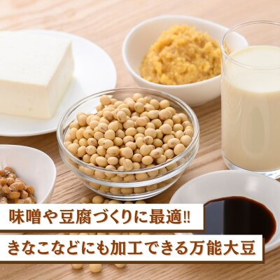 【先行予約】大豆 2.5kg 豆 イソフラボン おやつ おつまみ 味噌作り